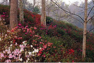 Embrace 2.47亿美元出售旗下子公司Saber互动